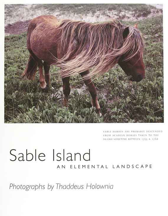 Sable 1