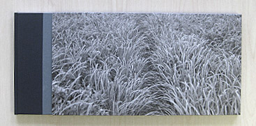 photograph of Thaddeus Holownia's Silver Ghost Limited Edition